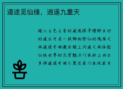 道途觅仙缘，逍遥九重天